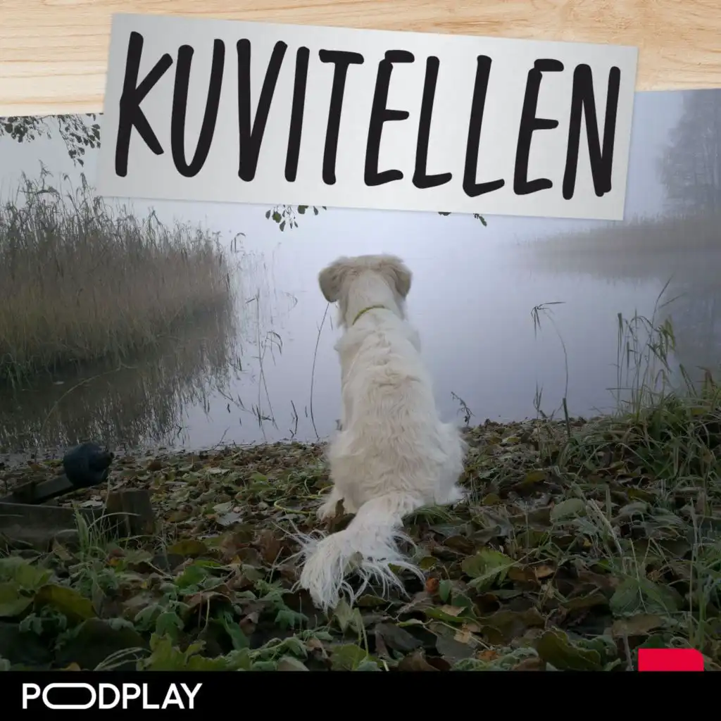 episode-header-image