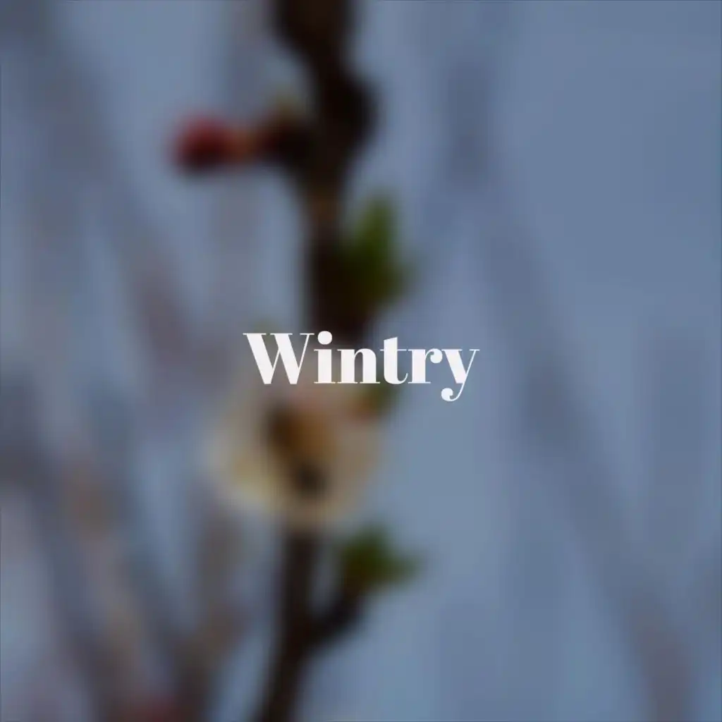 artist-header-image