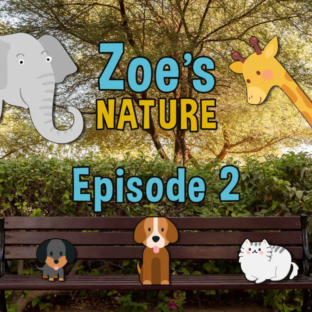 episode-header-image