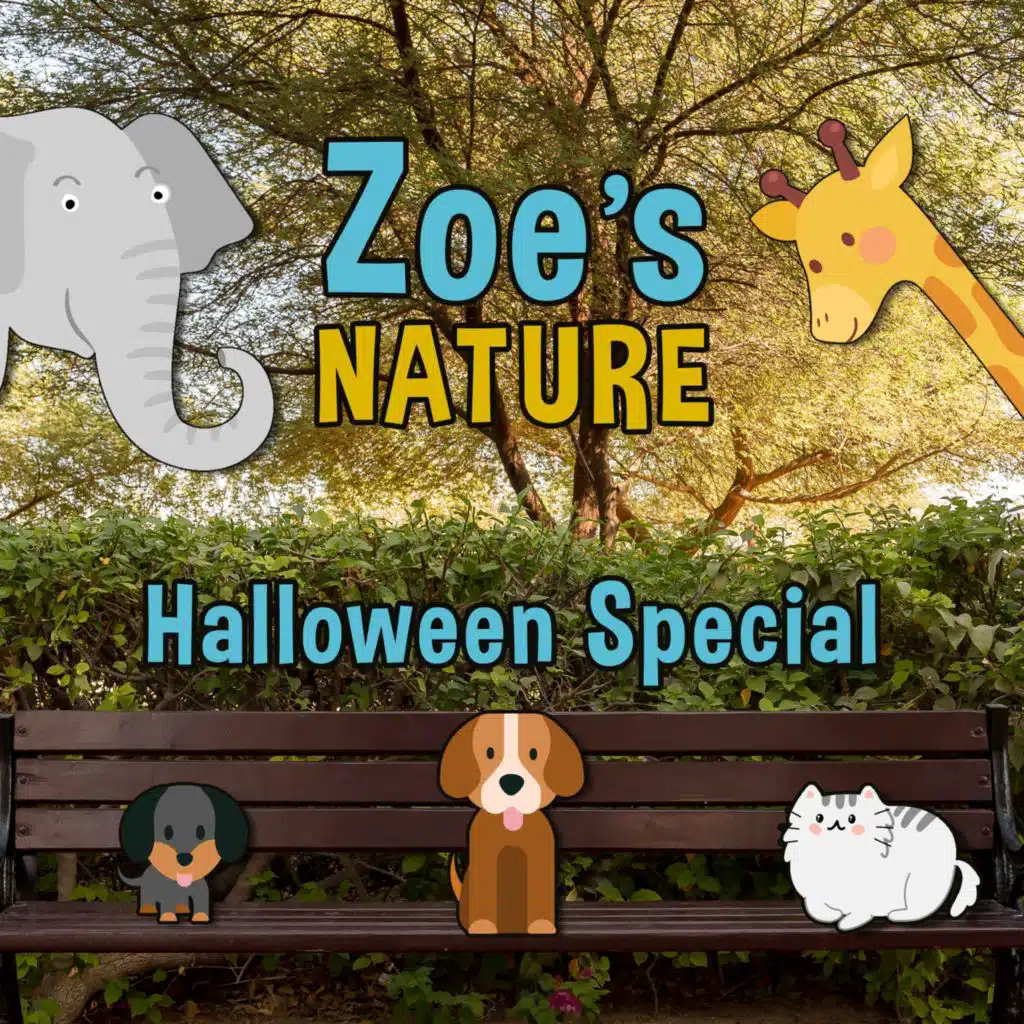 episode-header-image