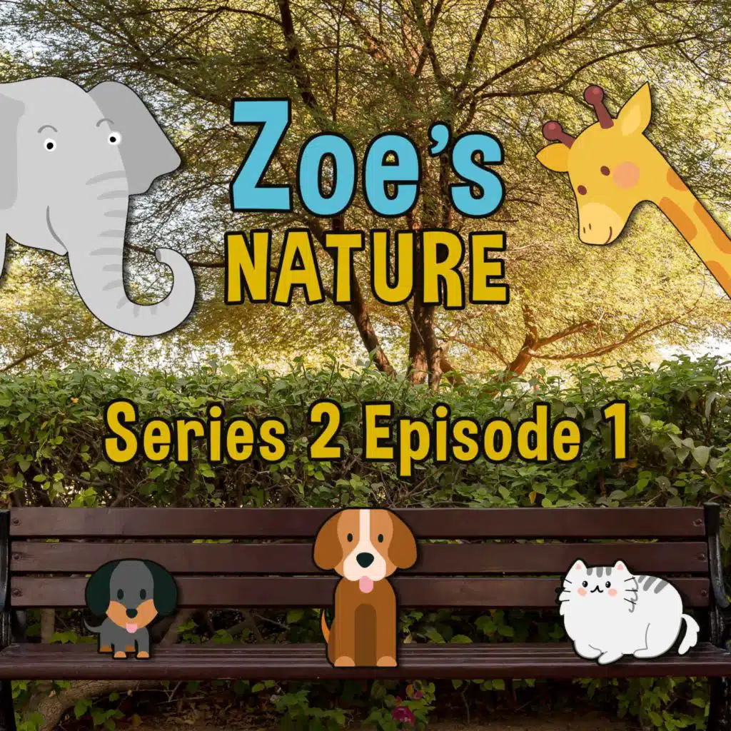 episode-header-image