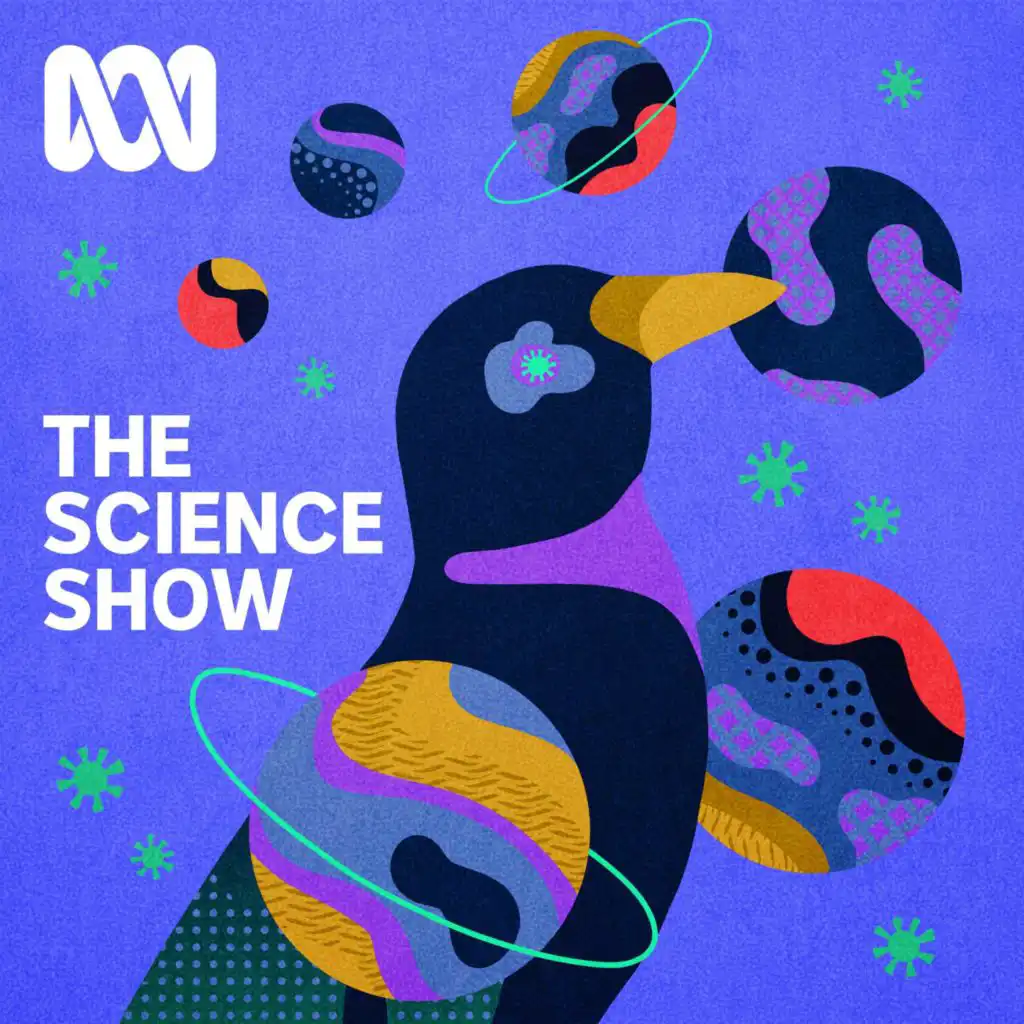 episode-header-image