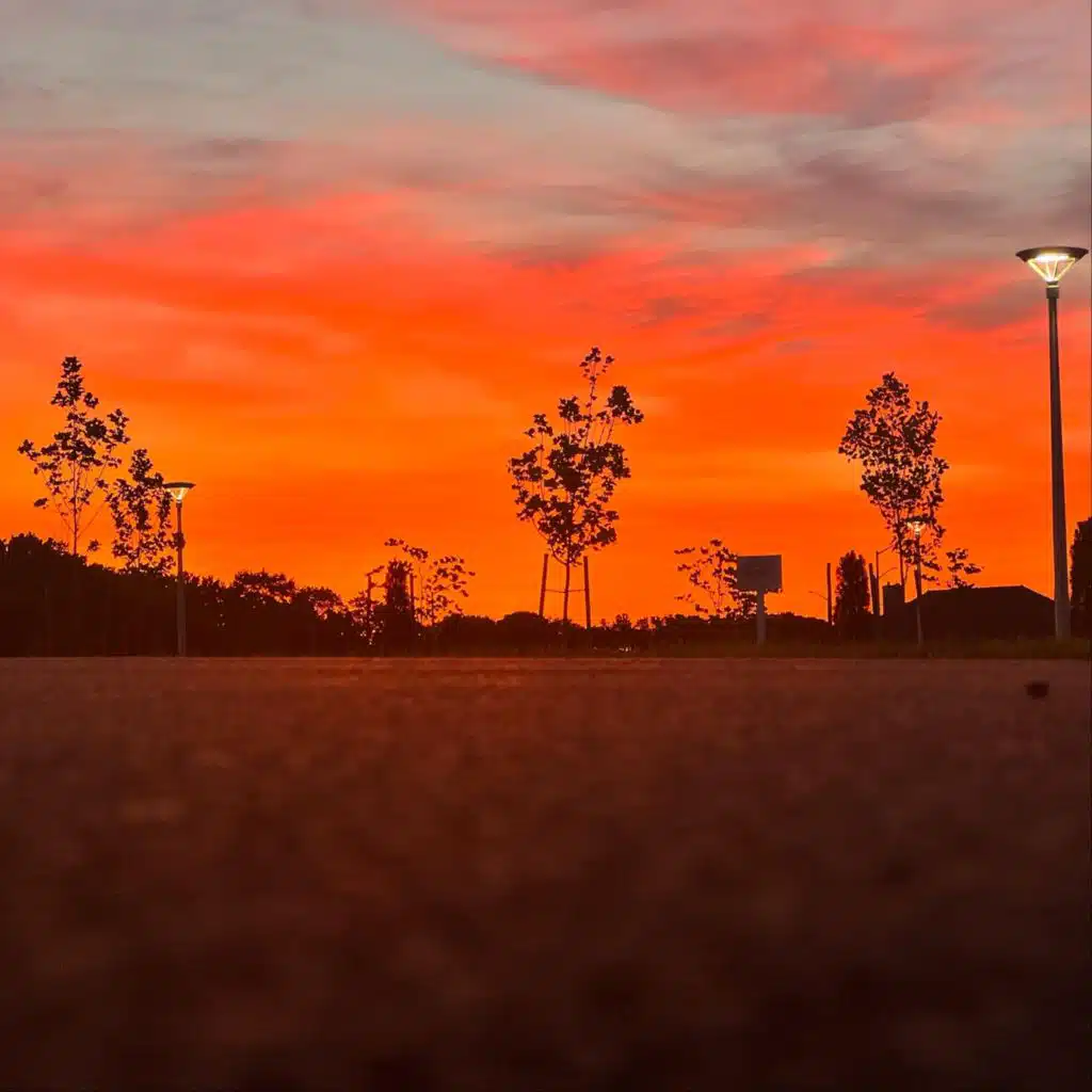 header-image