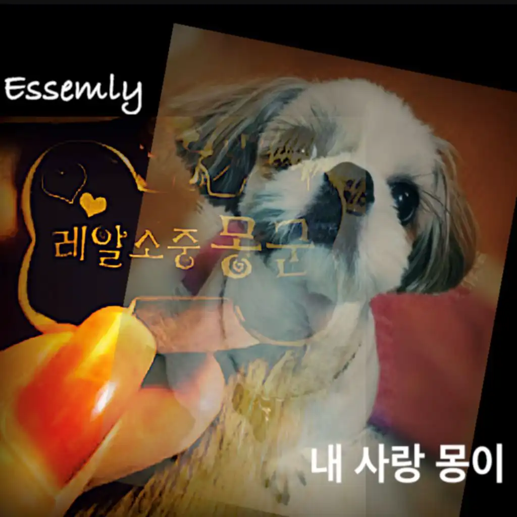 artist-header-image