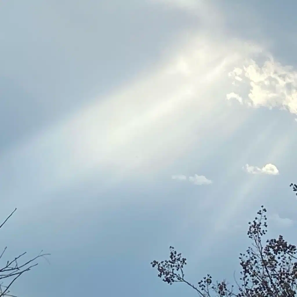 header-image
