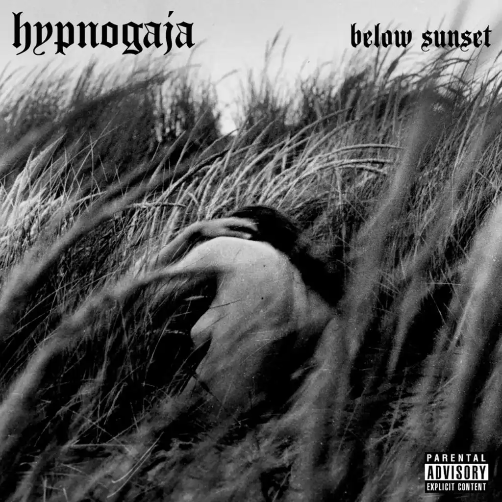 Hypnogaja & ShyBoy - Looking Glass | Play On Anghami