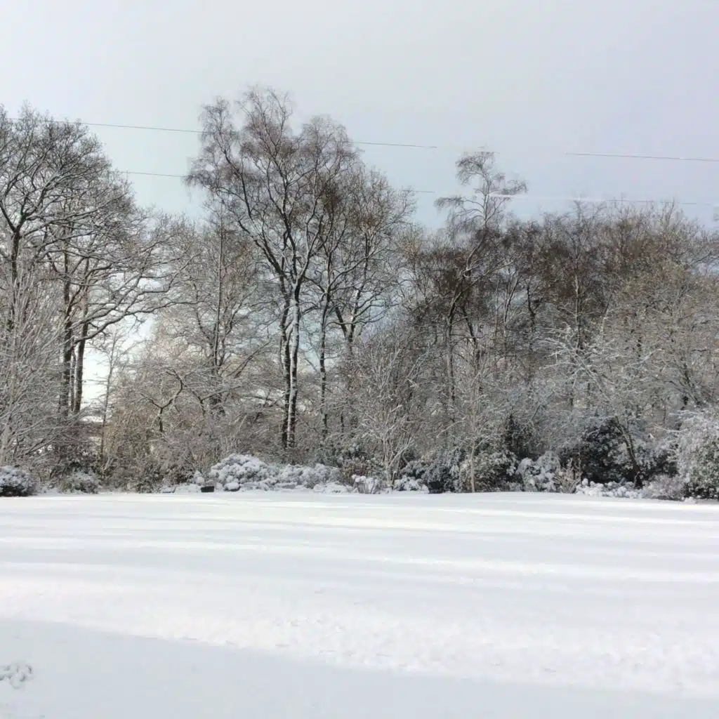 header-image