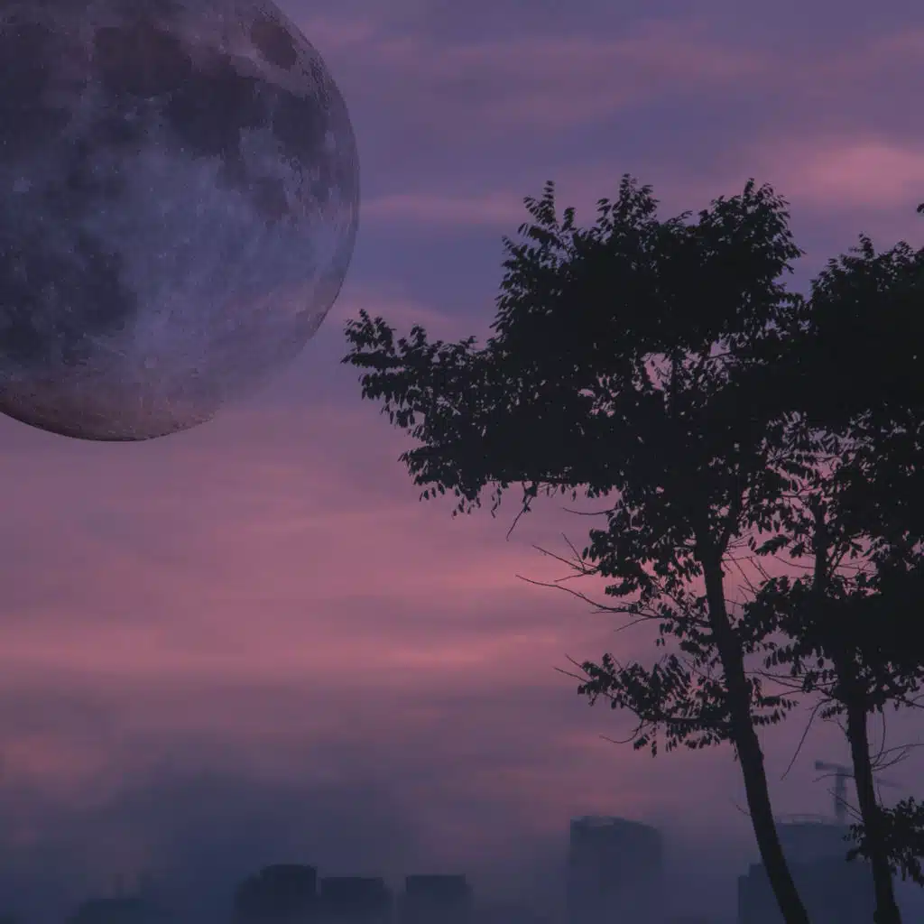 artist-header-image