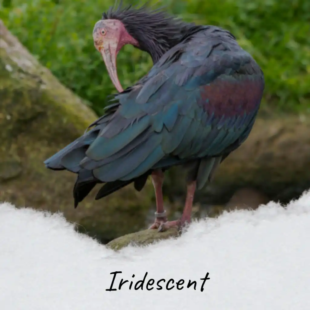 artist-header-image