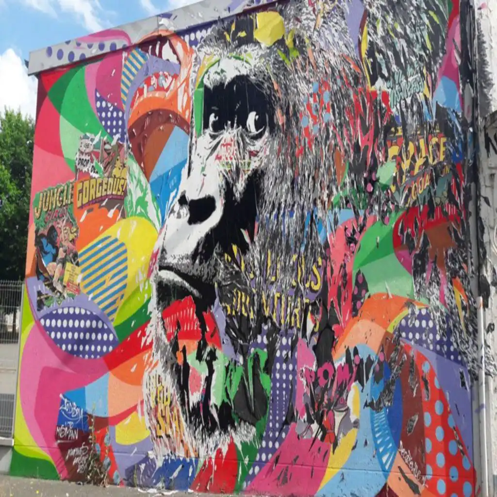 artist-header-image