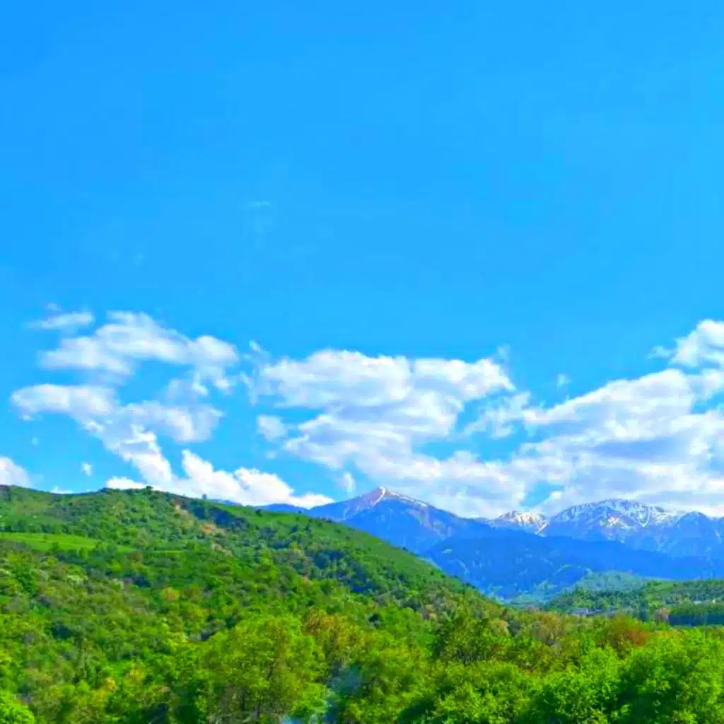 header-image