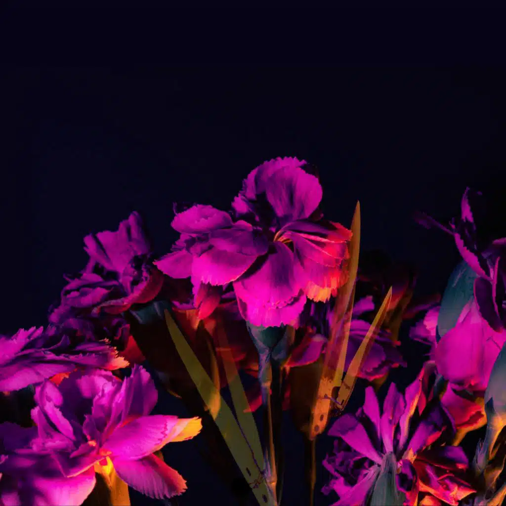 artist-header-image