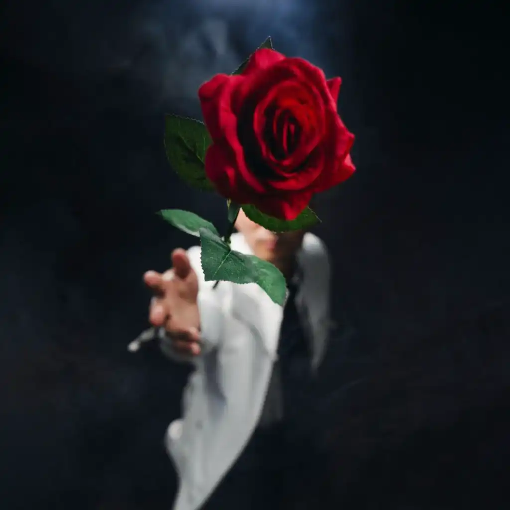 artist-header-image