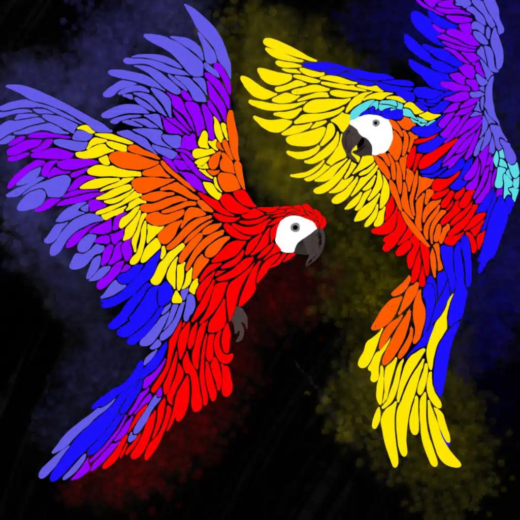 header-image