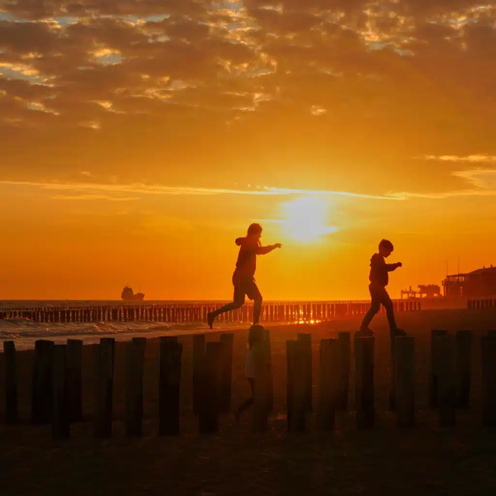 header-image