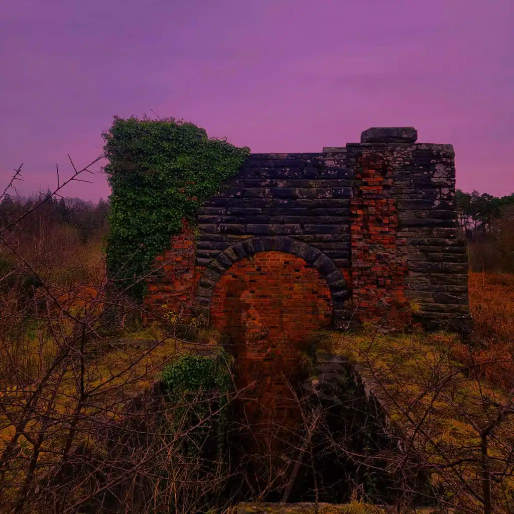 header-image