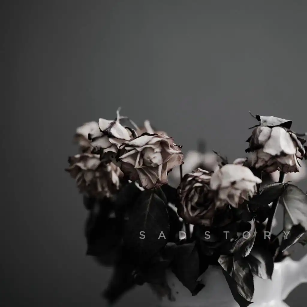 artist-header-image