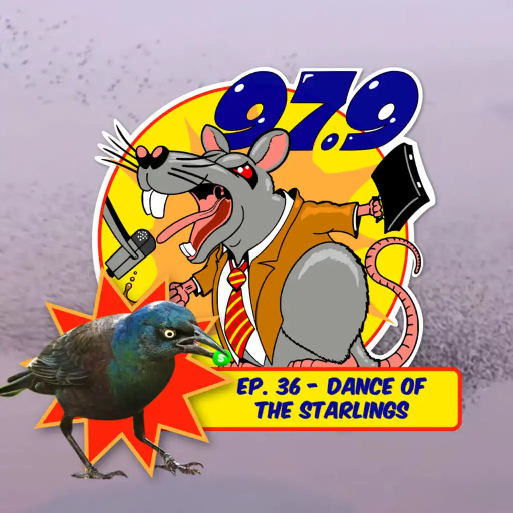 episode-header-image