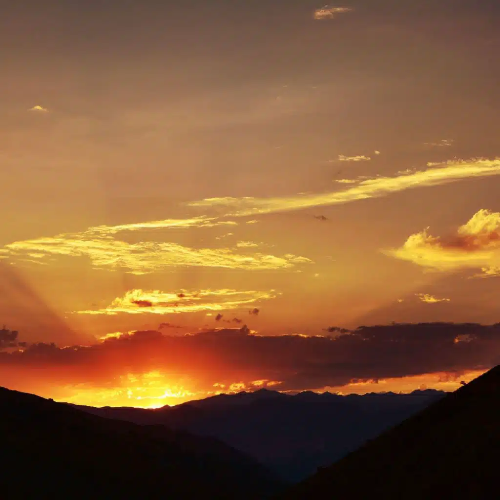 header-image