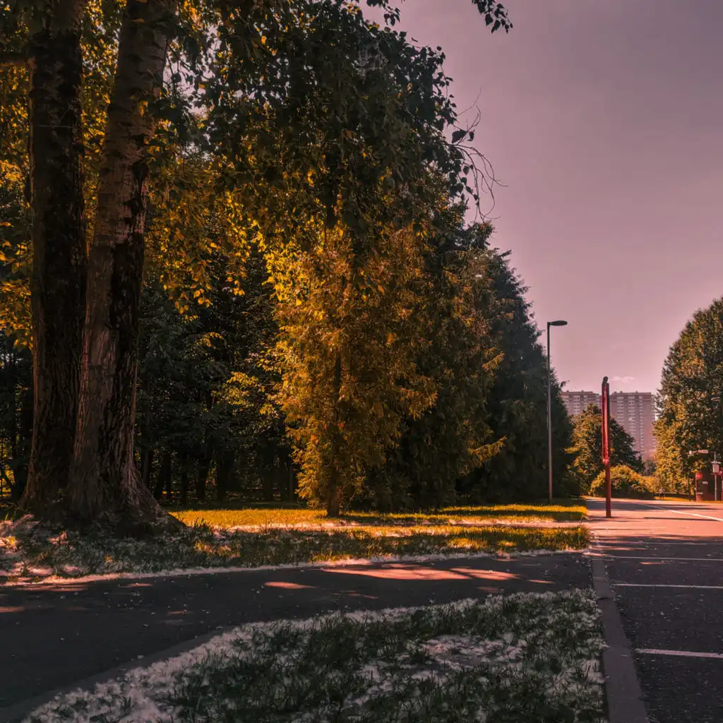 header-image