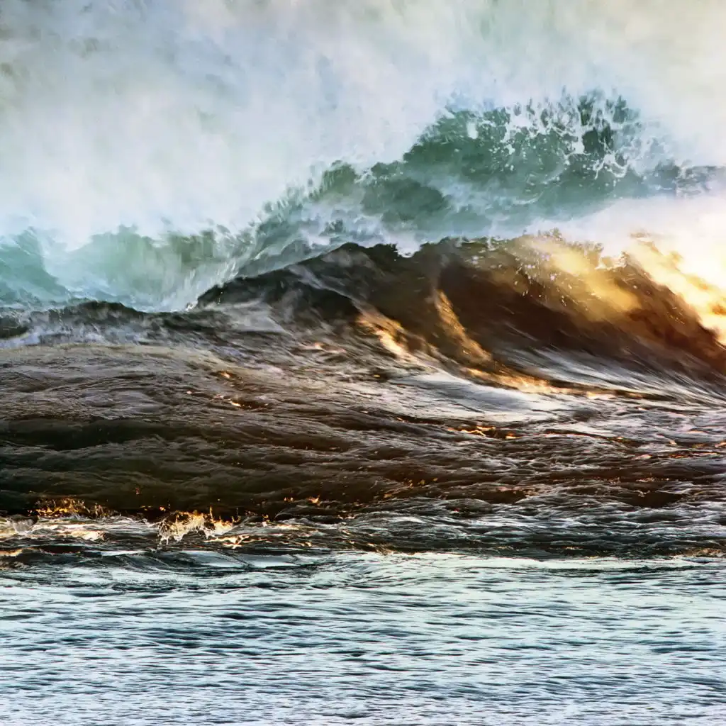 artist-header-image