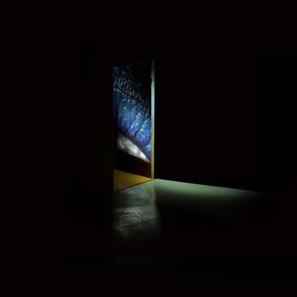 artist-header-image