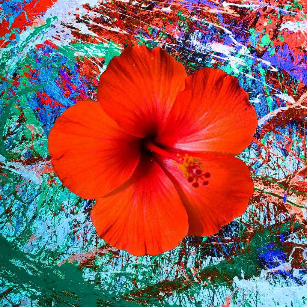 header-image