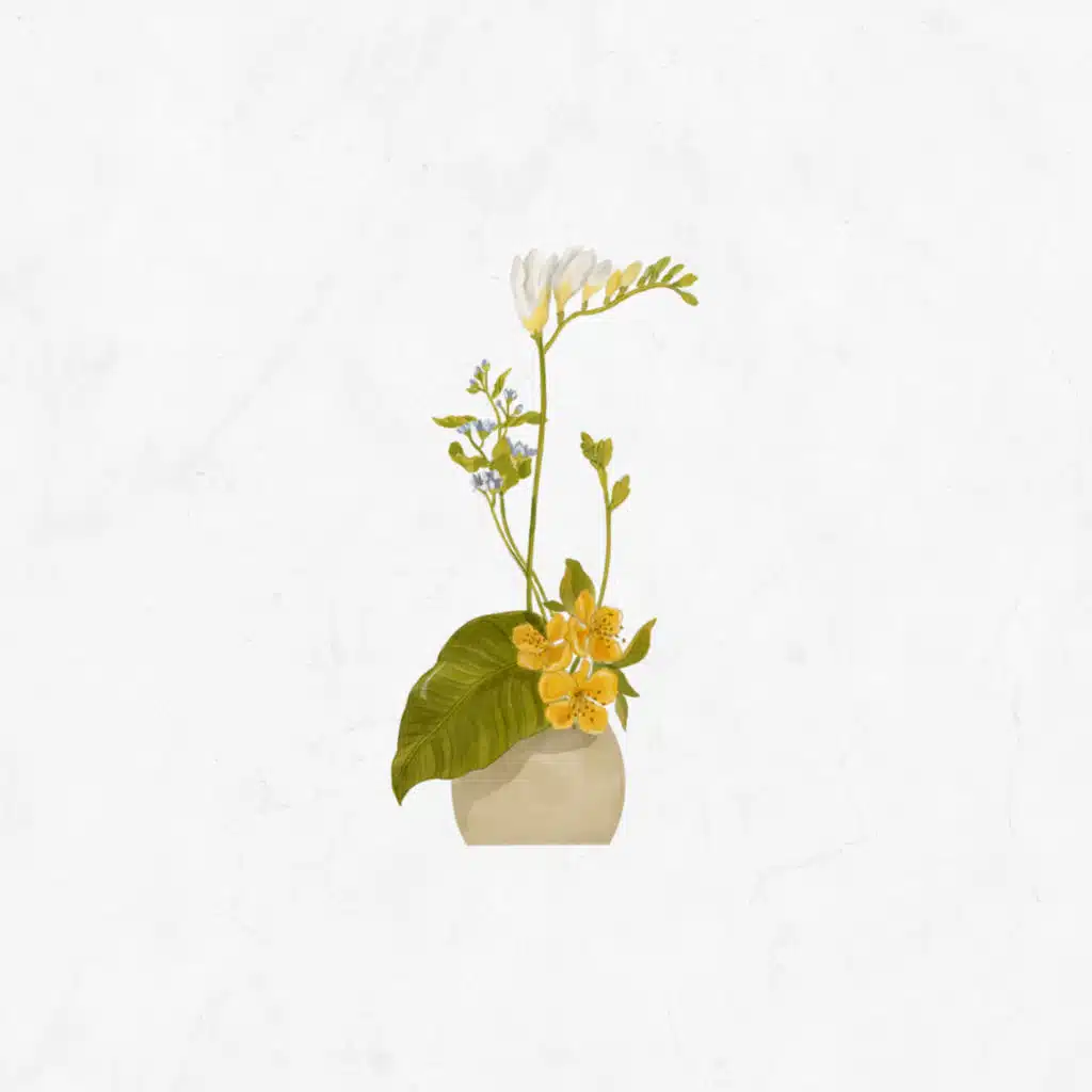 header-image