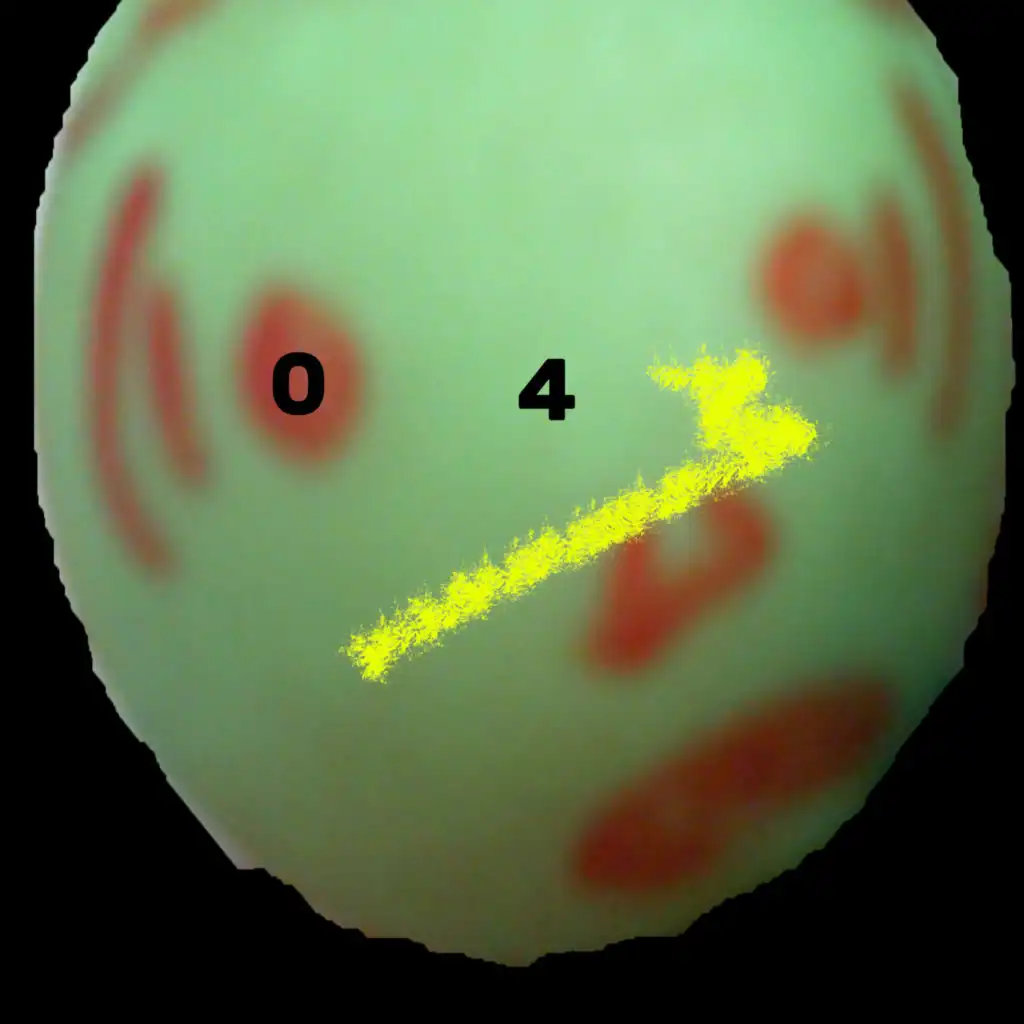 artist-header-image