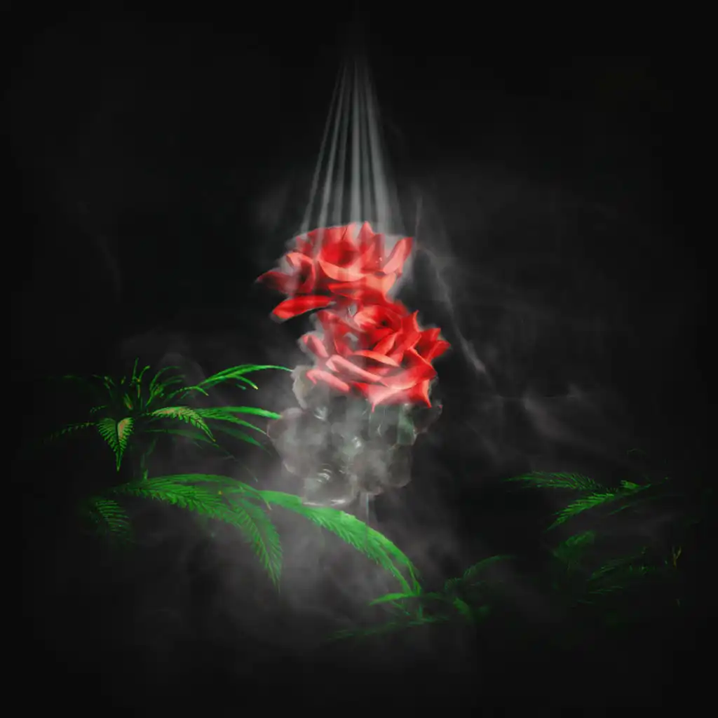 artist-header-image