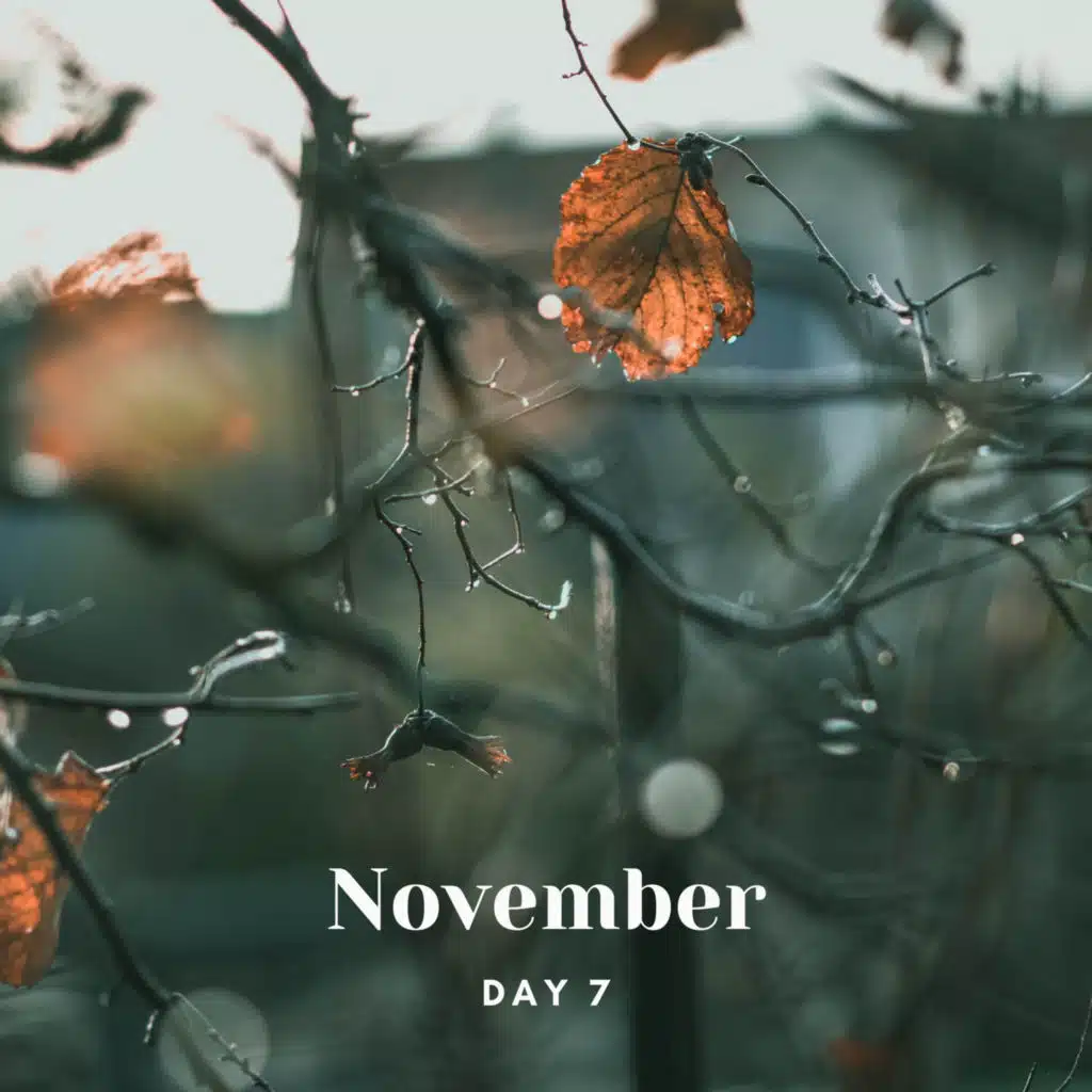 header-image