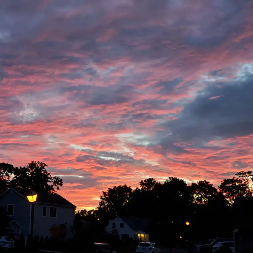 header-image