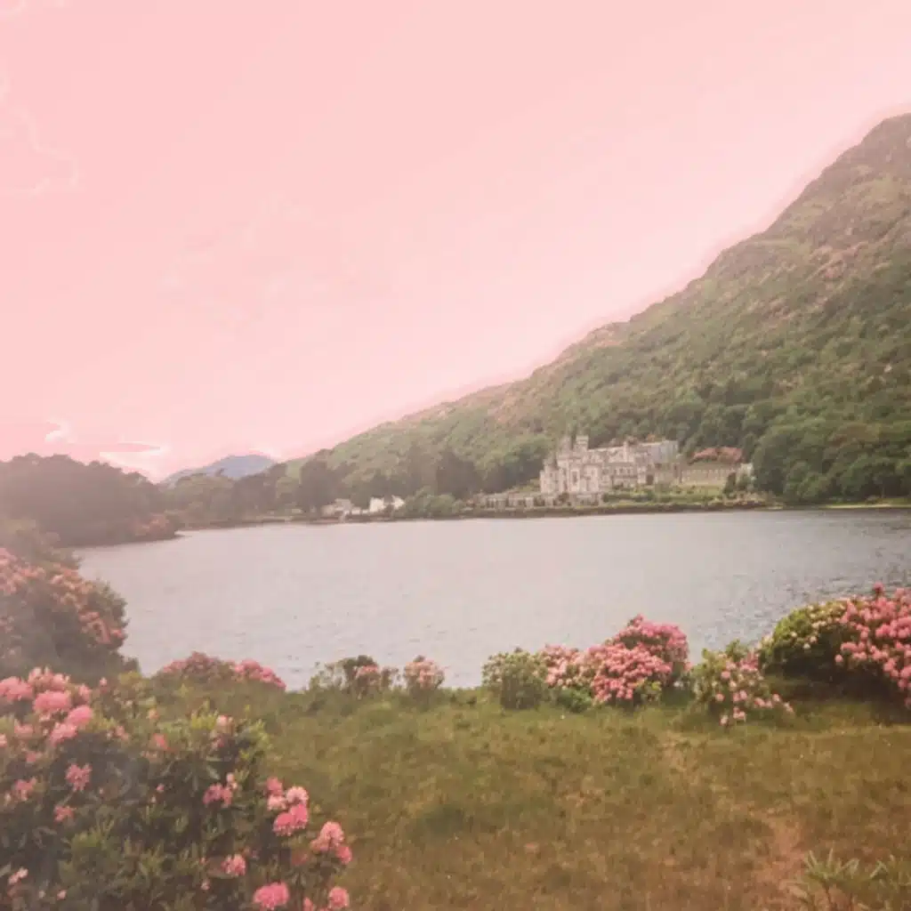 header-image