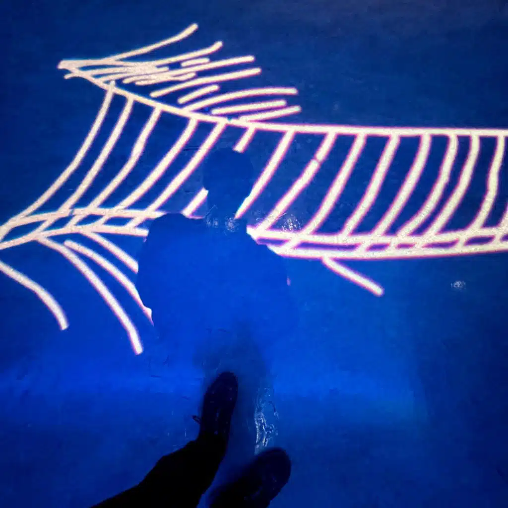 artist-header-image