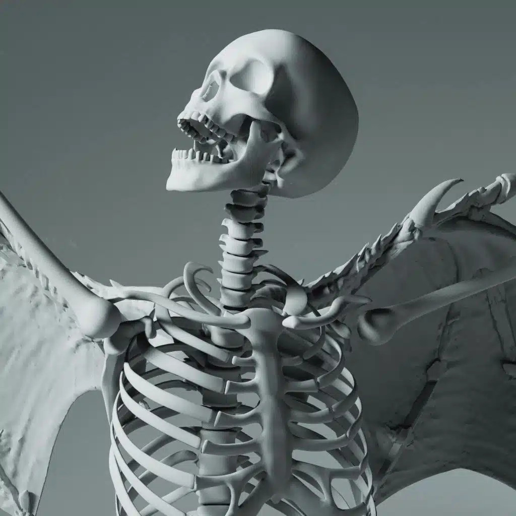 header-image