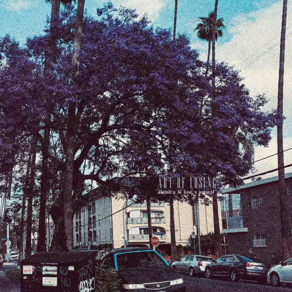 header-image