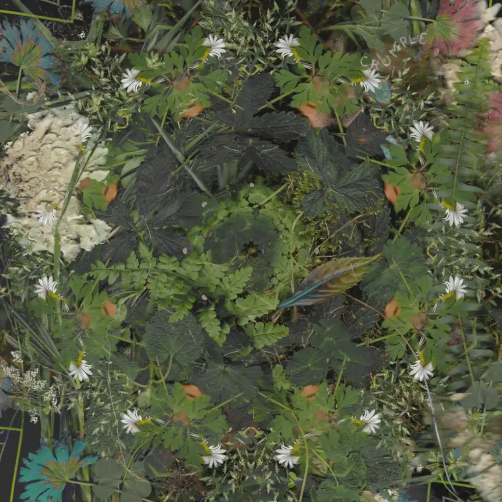 header-image