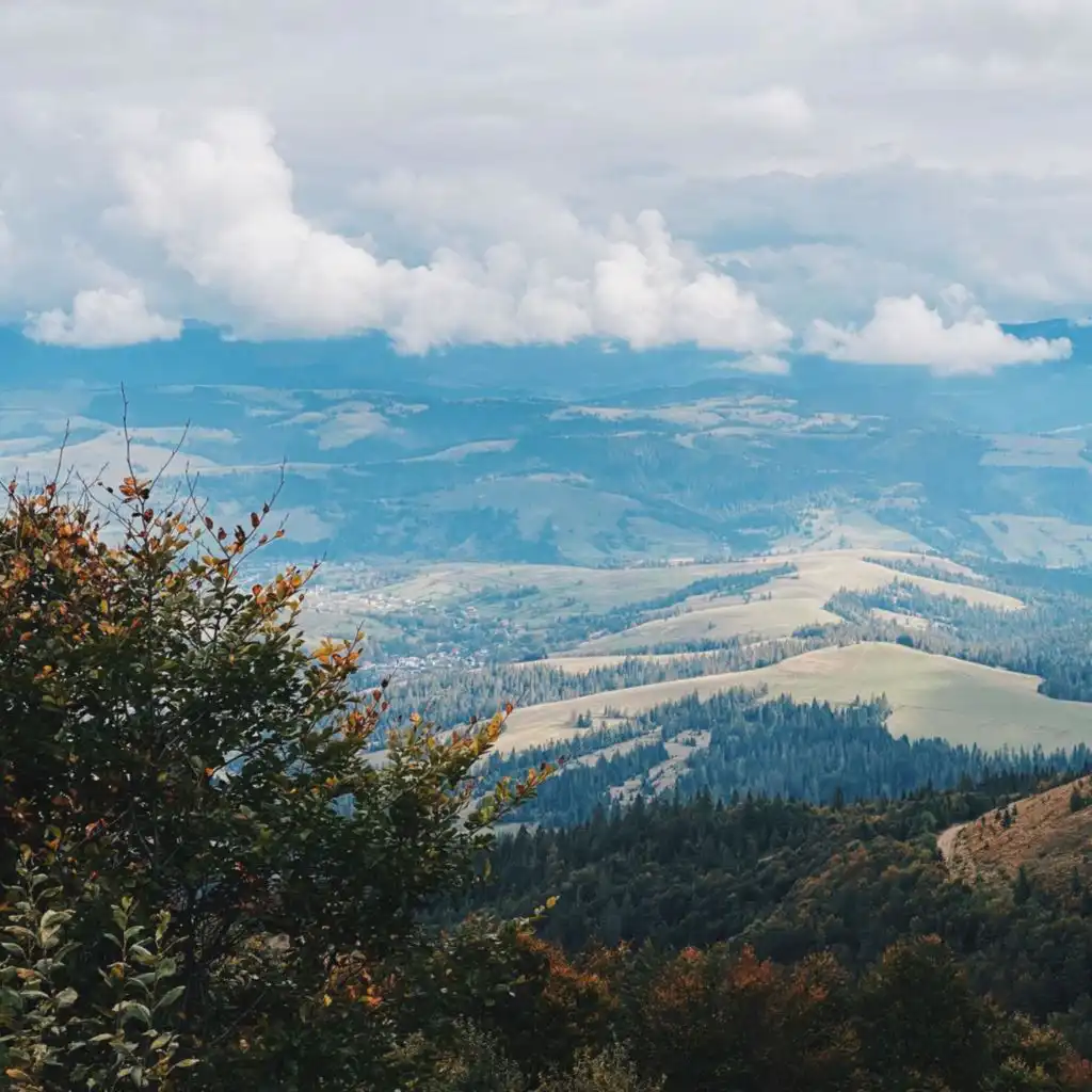 header-image