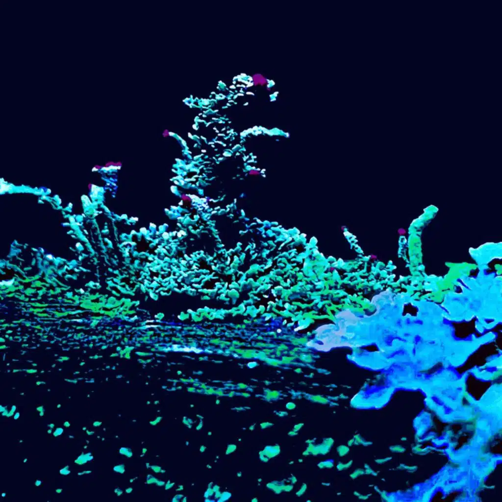 artist-header-image