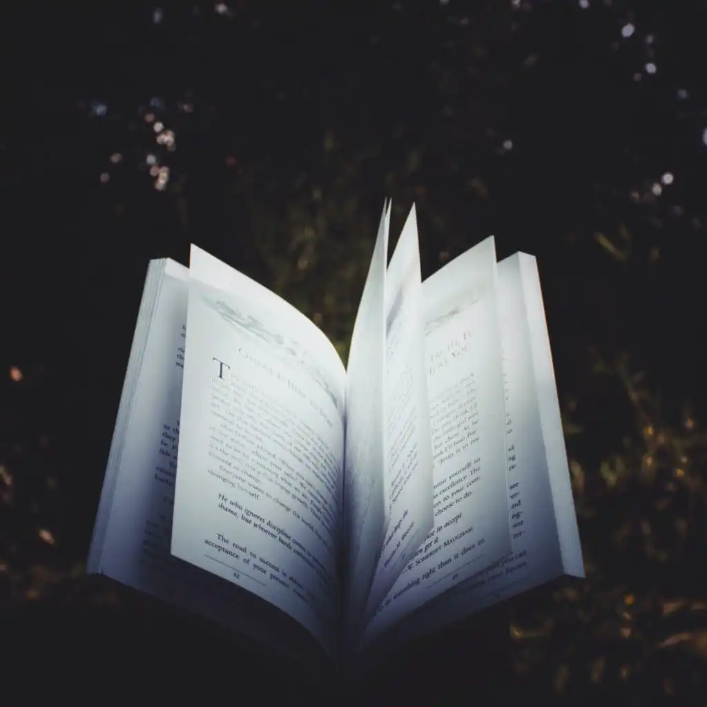 artist-header-image