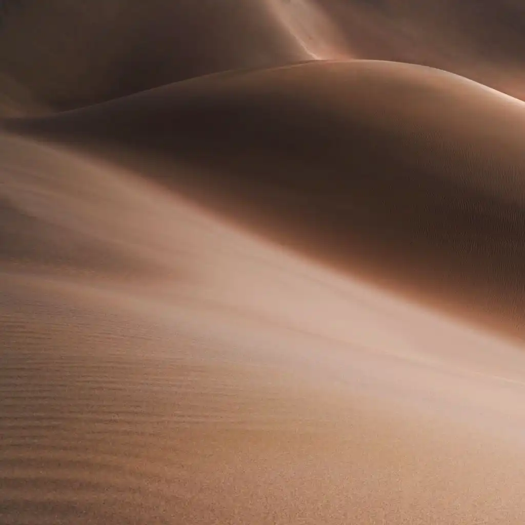 artist-header-image