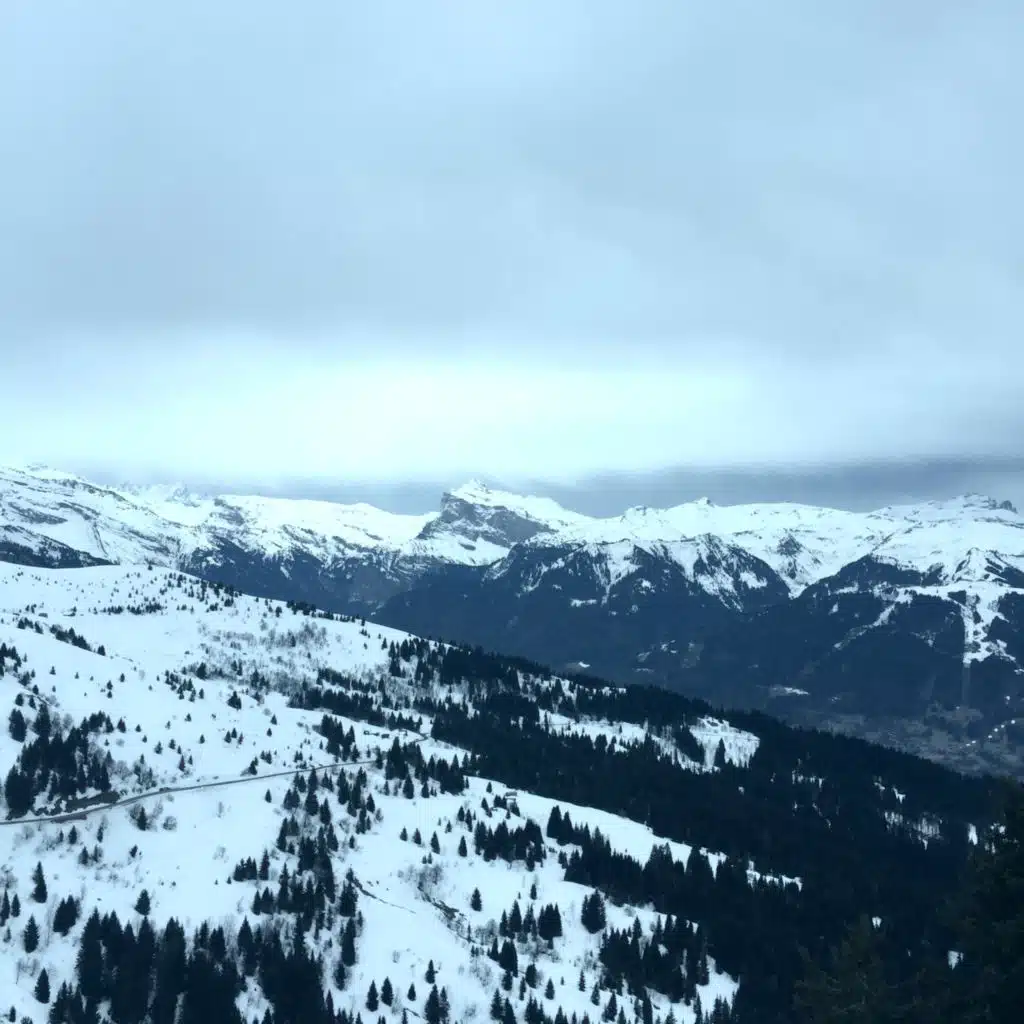 header-image