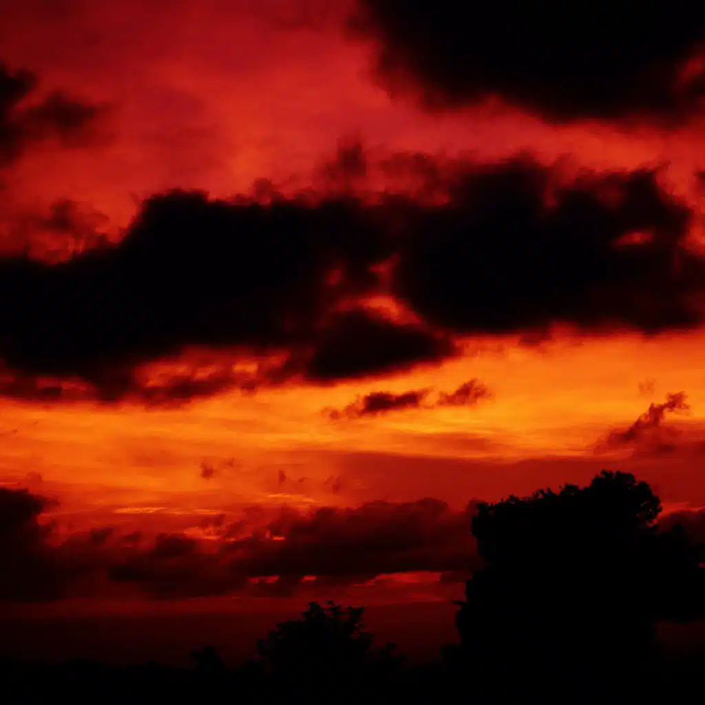 header-image