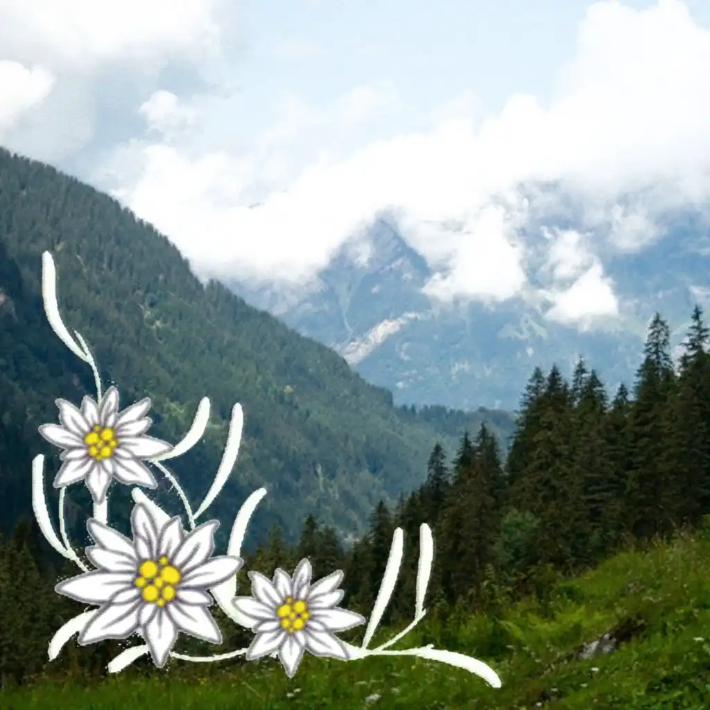 artist-header-image
