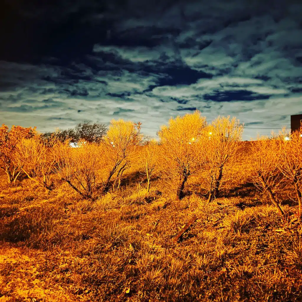 header-image