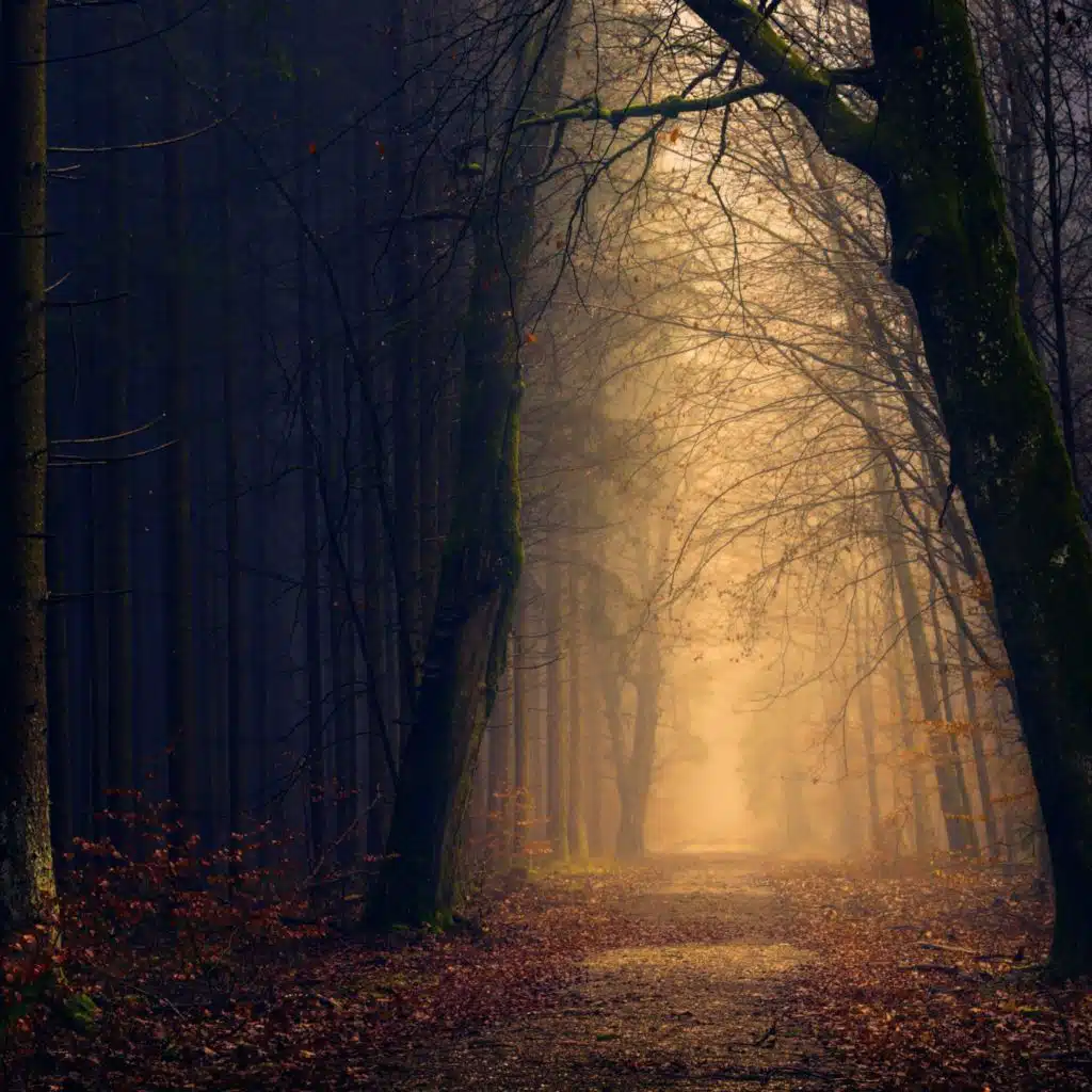 header-image