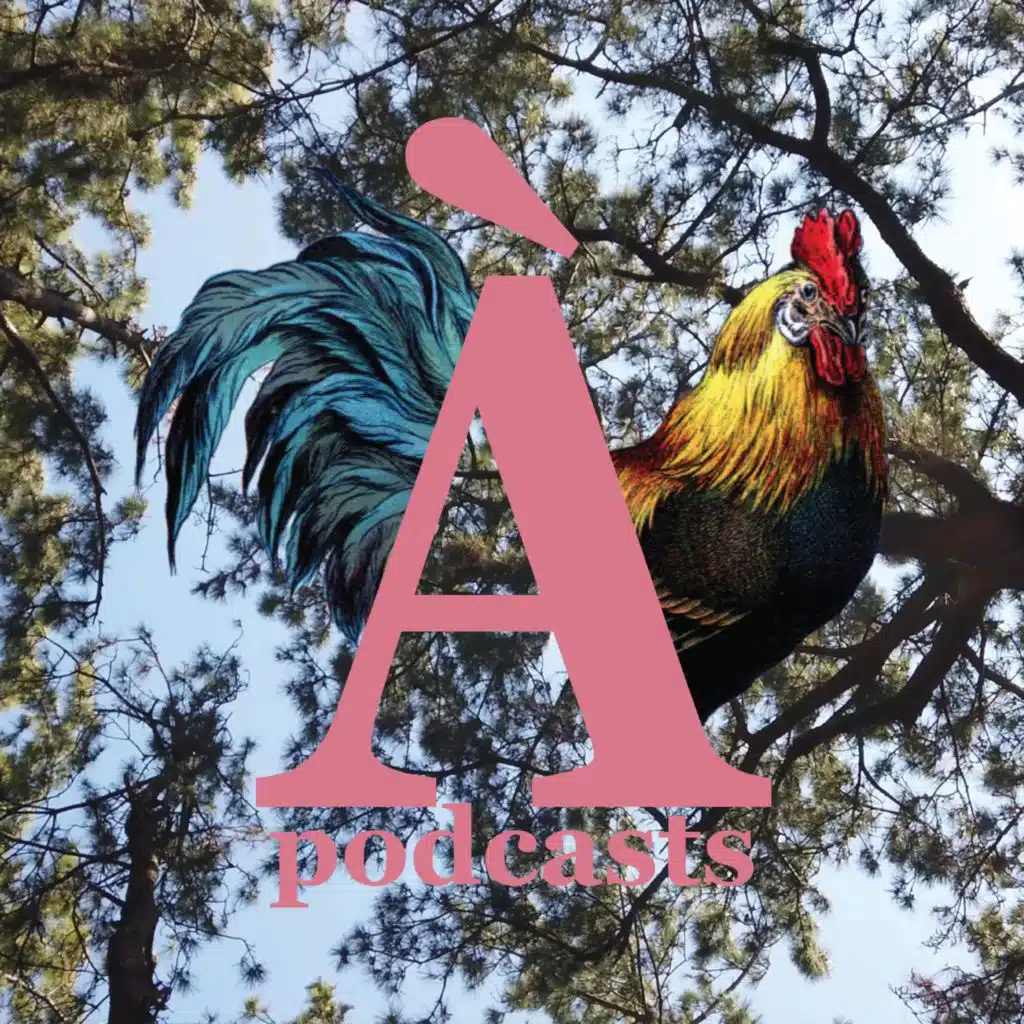 episode-header-image