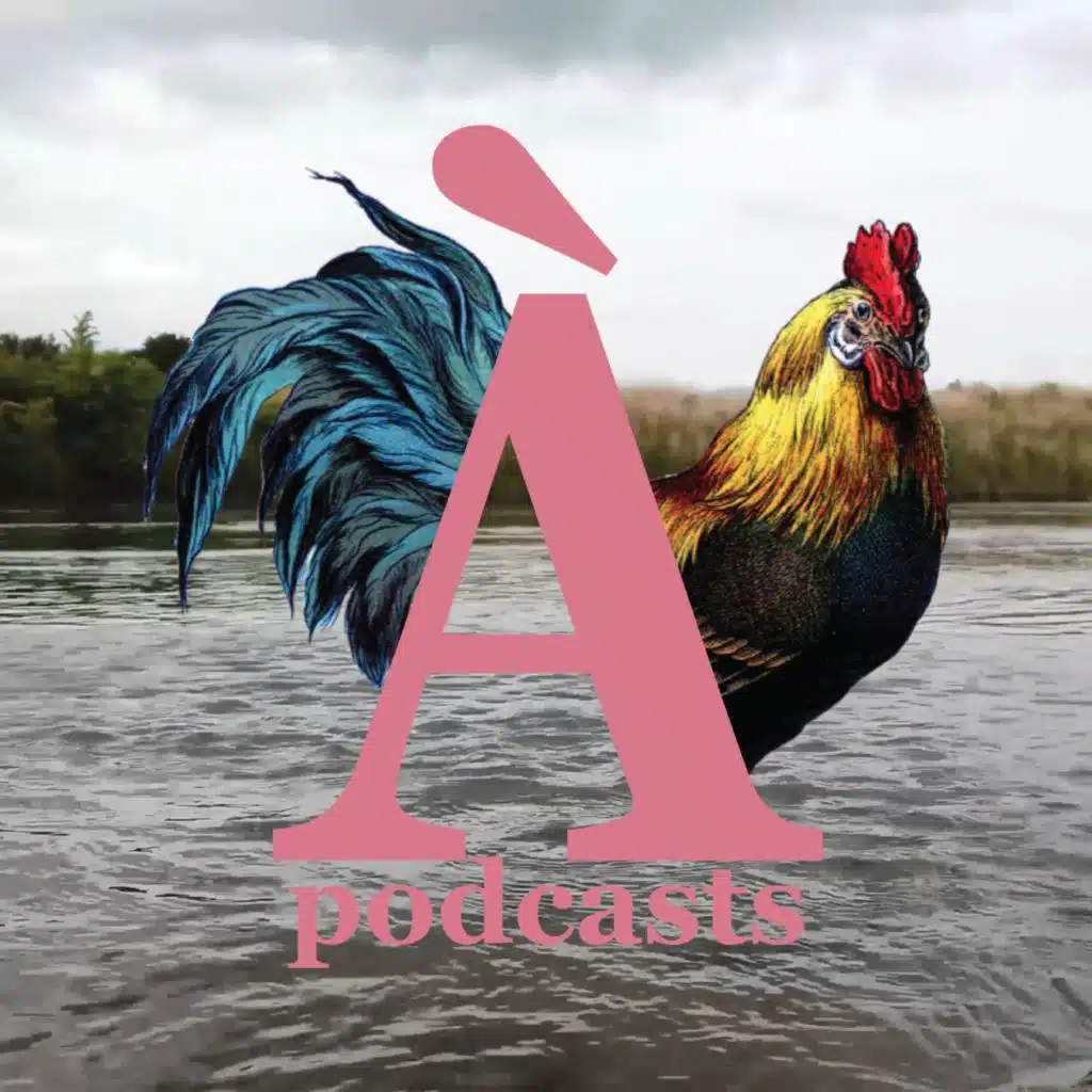 episode-header-image