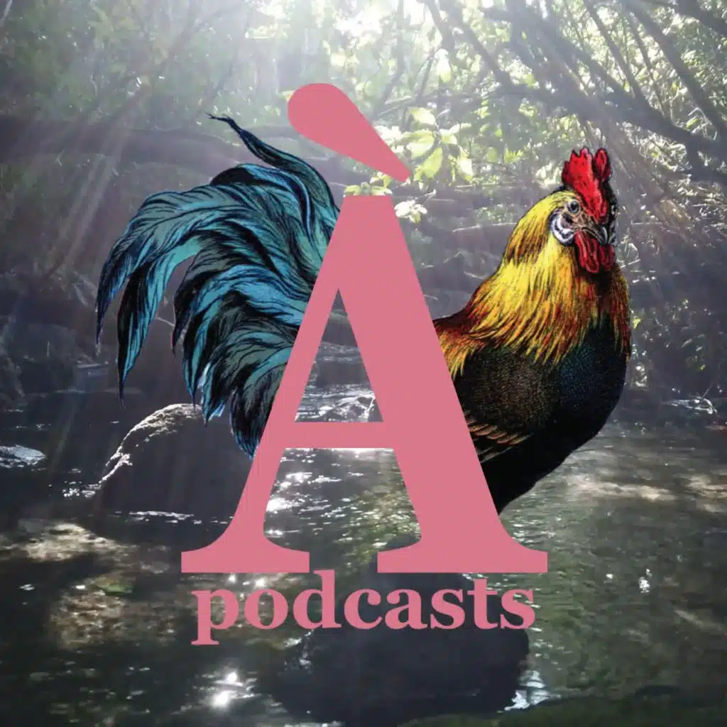 episode-header-image