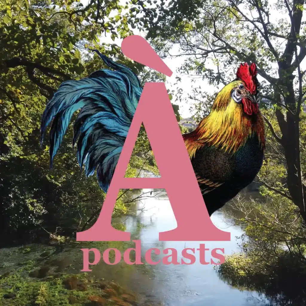 episode-header-image